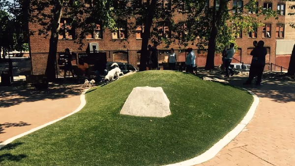 Howard's Park Dog Park